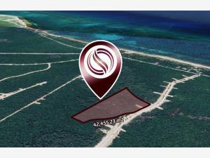 Terreno en venta en Aldea Zama, Tulum, Quintana Roo