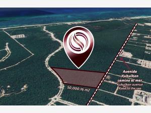 Terreno en venta en Aldea Zama, Tulum, Quintana Roo