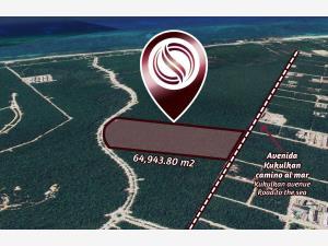 Terreno en venta en Aldea Zama, Tulum, Quintana Roo