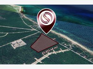 Terreno en venta en Aldea Zama, Tulum, Quintana Roo