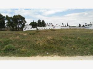 Terreno en venta en Chipilo de Francisco Javier Mina, San Gregorio Atzompa, Puebla