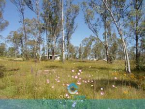Terreno en venta en Santiago Undameo, Morelia, Michoacán de Ocampo