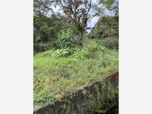 Terreno en venta en Tlacuilolan, Xico, Veracruz de Ignacio de la Llave