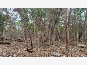 Terreno en venta en Natura Playa del Carmen, Solidaridad, Quintana Roo