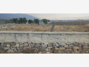 Terreno en venta en Mesa de las Cabras, Arteaga, Coahuila de Zaragoza