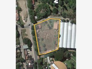 Terreno en venta en Centro Jiutepec, Jiutepec, Morelos