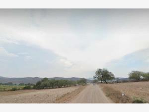 Terreno en venta en Rioverde Centro, Rioverde, San Luis Potosí