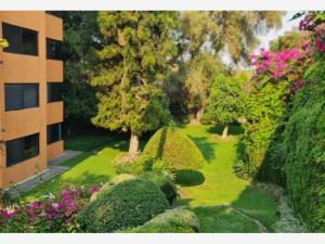 Departamento en renta en Poblado Acapatzingo, Cuernavaca, Morelos Departamento en renta en Poblado Acapatzingo, Cuernavaca, Morelos