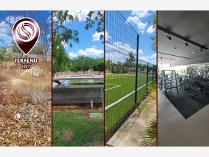 Terreno en venta en Conkal, Conkal, Yucatán