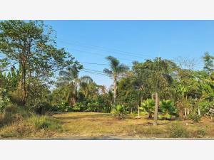 Terreno en venta en Monte Salas, Fortín, Veracruz de Ignacio de la Llave
