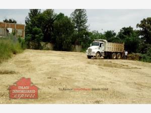 Terreno en renta en San Antonio de la Cal Centro, San Antonio de la Cal, Oaxaca