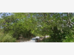 Finca-Rancho en remate en Ceiba 1ra Sección (Jahuactal), Cunduacán, Tabasco