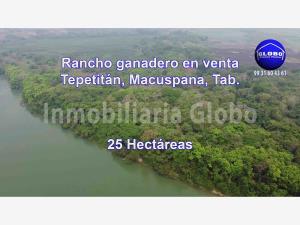 Finca-Rancho en venta en Tepetitan, Macuspana, Tabasco