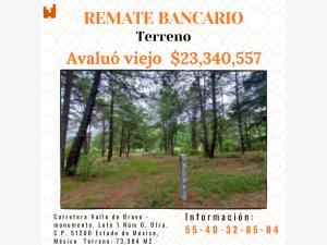 Terreno en remate en Valle de Bravo, Valle de Bravo, México