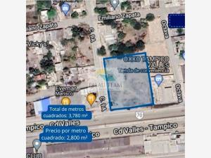 Terreno en venta en Moralillo, Pánuco, Veracruz de Ignacio de la Llave