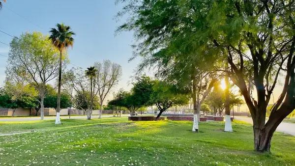 Terreno en venta en Las Trojes, Torreón, Coahuila de Zaragoza