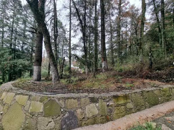Terreno en venta en Bosques de San Cayetano, Mineral del Monte, Hidalgo
