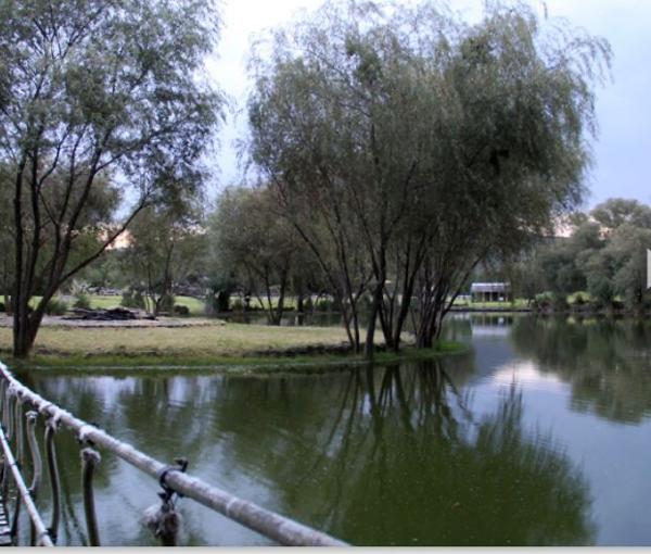 Terreno en venta en El Encino, Huimilpan, Querétaro