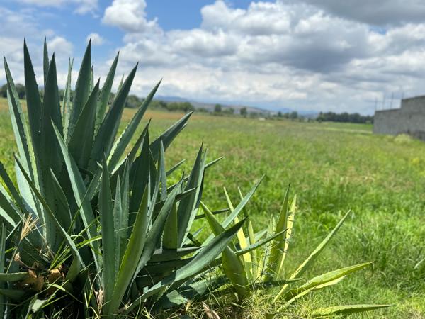 Terreno en venta en Paraíso Escondido Etapa I, II y III, Tarímbaro, Michoacán de Ocampo