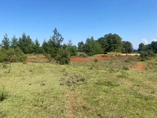 Terreno en venta en San José Ocotillos, Huasca de Ocampo, Hidalgo