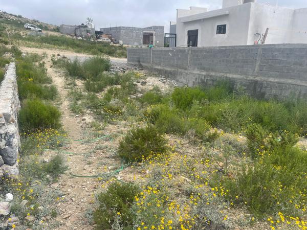 Terreno en renta en Villa Sol, Ramos Arizpe, Coahuila de Zaragoza