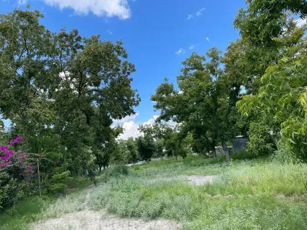 Terreno en venta en Parras de la Fuente Centro, Parras, Coahuila de Zaragoza