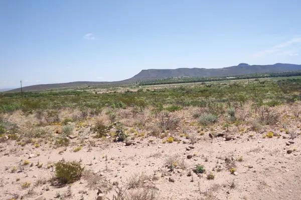 Terreno en venta en General Cepeda, General Cepeda, Coahuila de Zaragoza