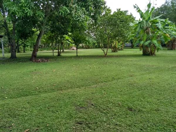 Terreno en venta en Bosque de Saloya, Nacajuca, Tabasco