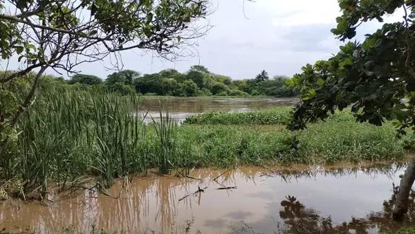 Terreno en venta en José Ingenieros (San Vicente), La Antigua, Veracruz de Ignacio de la Llave