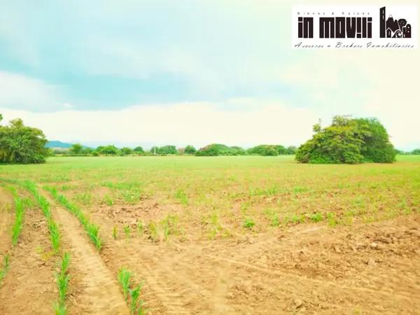 Terreno en venta en La Noria, Santo Domingo Tehuantepec, Oaxaca