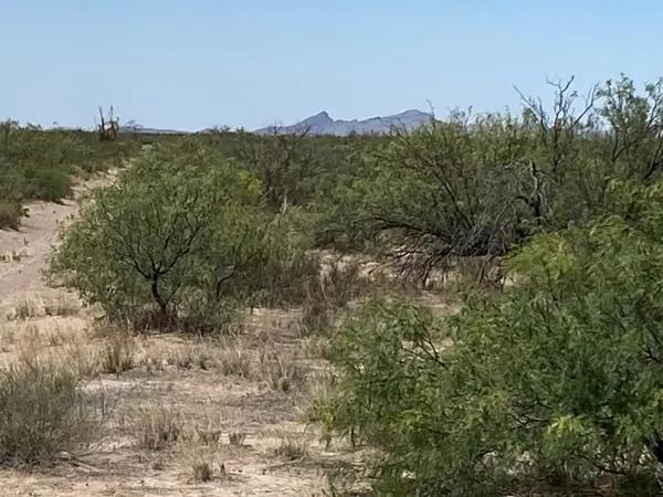 Terreno en venta en Menonita La Peralta, Ahumada, Chihuahua