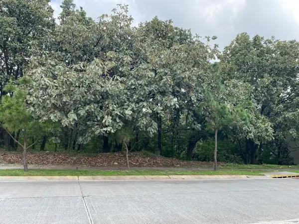 Terreno en venta en El Palomar