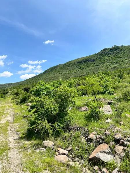 Terreno en venta en San José de Guadalupe, San Miguel de Allende, Guanajuato