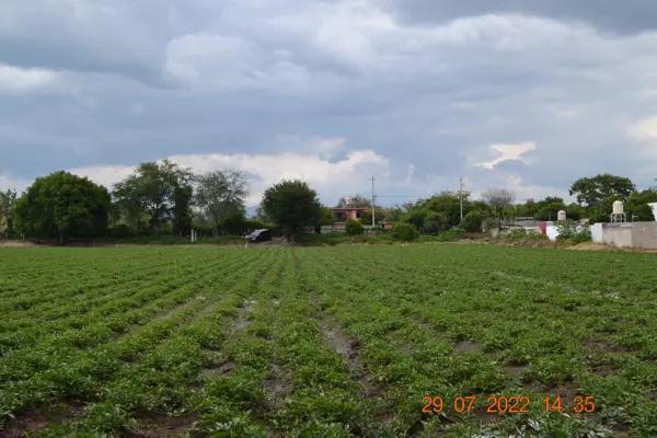 Terreno en venta en Jantetelco Centro, Jantetelco, Morelos