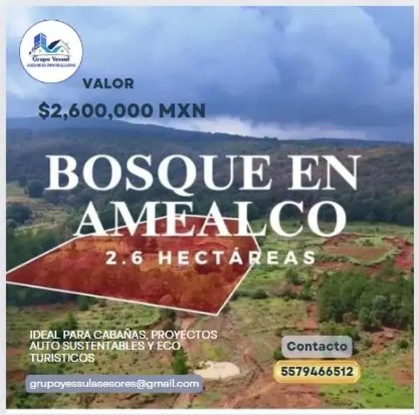 Terreno en venta en San Pablo, Amealco de Bonfil, Querétaro