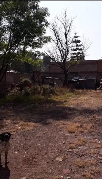 Terreno en renta en Tacuba, Miguel Hidalgo, Ciudad de México