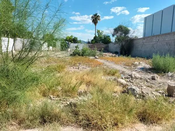 Terreno en venta en Lerdo Centro, Lerdo, Durango