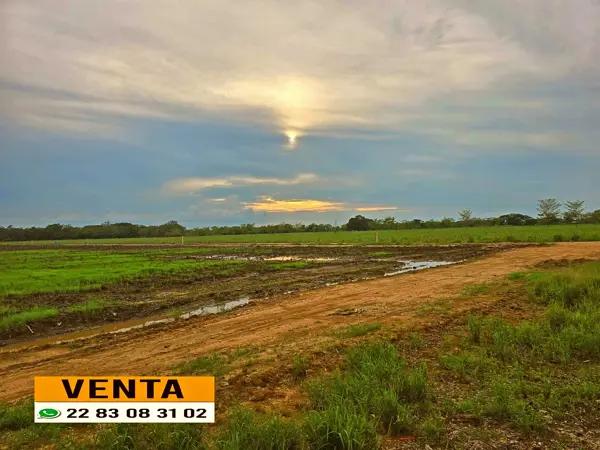 Finca-Rancho en venta en El Coyol (Kilómetro 11), Cosamaloapan de Carpio, Veracruz de Ignacio de la Llave