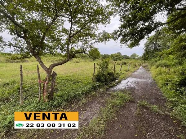 Terreno en venta en Jamapa, Jamapa, Veracruz de Ignacio de la Llave