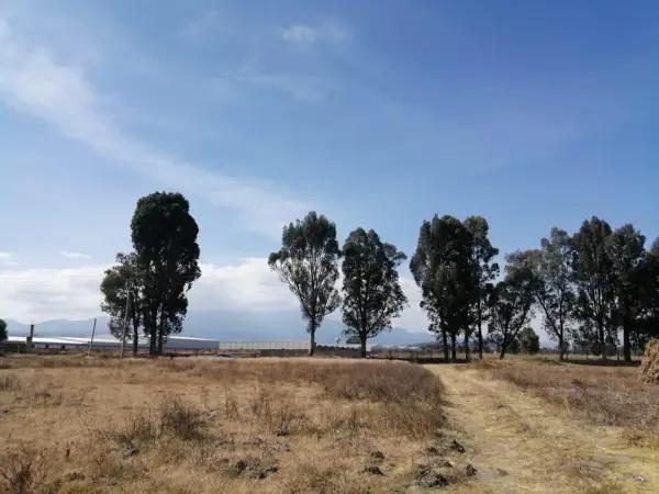 Terreno en venta en Santa Ana Xalmimilulco, Huejotzingo, Puebla