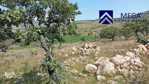 Terreno en venta en General Lázaro Cárdenas (Garabito Viejo), Durango, Durango
