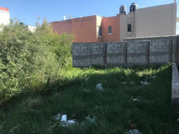 Terreno en renta en La Dalia, Torreón, Coahuila de Zaragoza