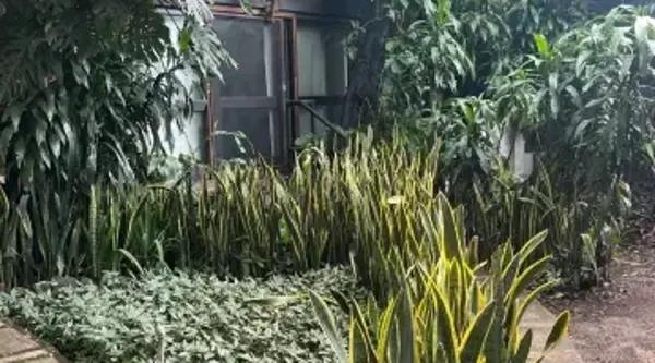 Departamento en renta en Cuernavaca Centro, Cuernavaca, Morelos