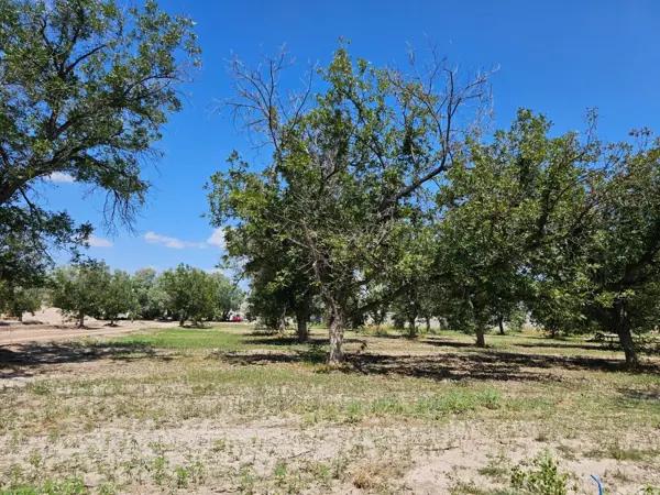 Terreno en venta en La Barranca, Torreón, Coahuila de Zaragoza