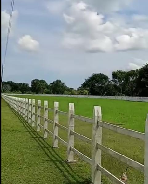 Finca-Rancho en venta en El Tejar, Medellín de Bravo, Veracruz de Ignacio de la Llave
