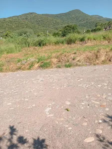 Terreno en venta en Oriente 2da. Sección, El Grullo, Jalisco