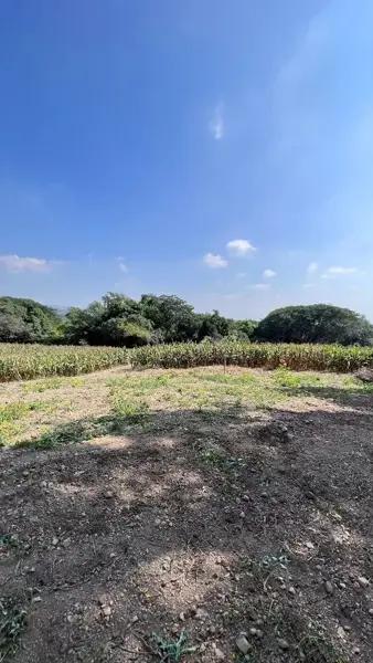Terreno en venta en El Chivato (Providencia), Villa de Álvarez, Colima Terreno en venta en El Chivato (Providencia), Villa de Álvarez, Colima