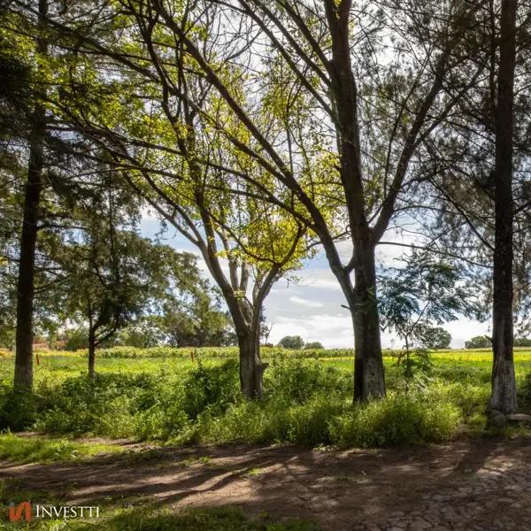 Terreno en venta en Cañadas del Lago, Corregidora, Querétaro