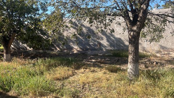 Terreno en venta en Las Trojes, Torreón, Coahuila de Zaragoza Terreno en venta en Las Trojes, Torreón, Coahuila de Zaragoza