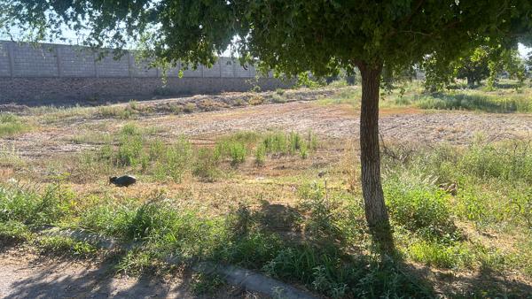 Terreno en venta en Las Trojes, Torreón, Coahuila de Zaragoza Terreno en venta en Las Trojes, Torreón, Coahuila de Zaragoza